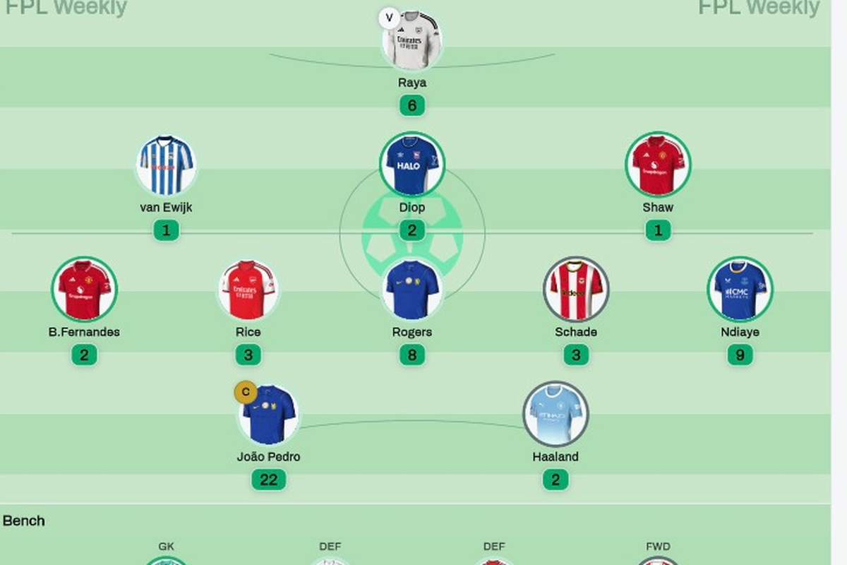 Linked FPL squad on the pitch with captain, vice and gameweek points
